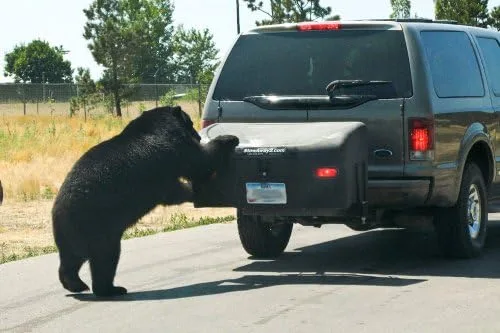 Stowaway Standard Cargo Carrier with SwingAway Frame for 2" Hitch- Black - Image 10